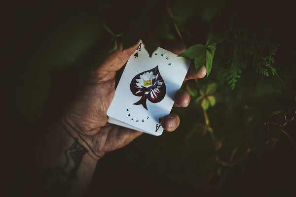 Carpe Noctem - Got Magic?