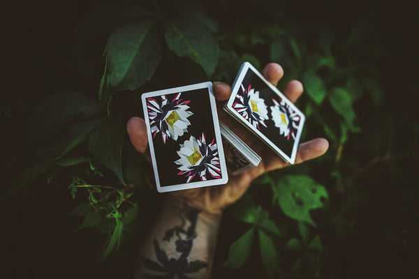Carpe Noctem - Got Magic?