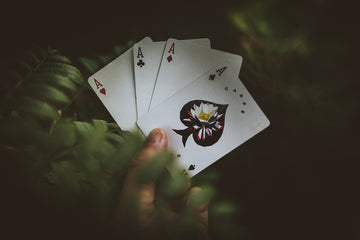 Carpe Noctem