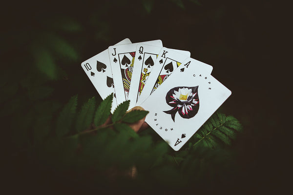 Carpe Noctem - Got Magic?
