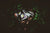 Carpe Noctem - Got Magic?