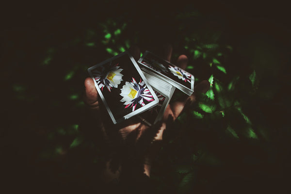 Carpe Noctem - Got Magic?