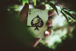 Carpe Noctem - Got Magic?