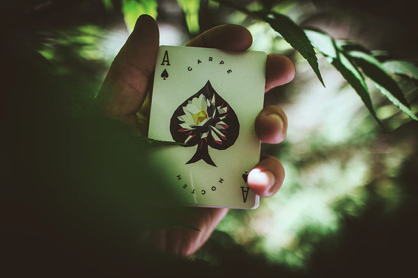 Carpe Noctem - Got Magic?