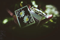 Carpe Noctem - Got Magic?