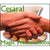 Cesaral Magic Presentations by Cesar Alonso (Cesaral Magic) - Trick - Got Magic?