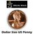 Dollar sized Penny - Trick - Got Magic?