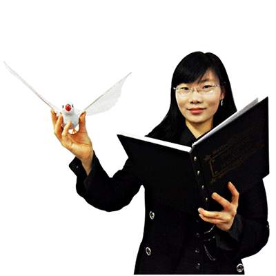 Dove & Rabbit Book by JL Magic - Got Magic?