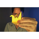 Origami Effect by Andrew Mayne - DVD - Got Magic?