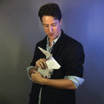 Origami Effect by Andrew Mayne - DVD - Got Magic?