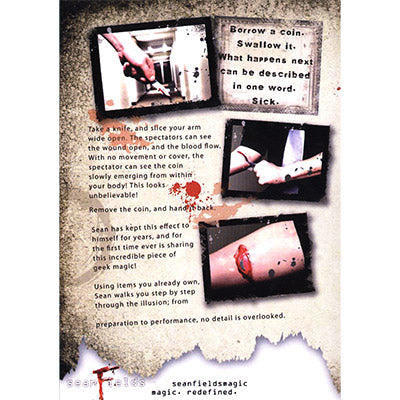 Sick by Sean Fields - DVD - Got Magic?