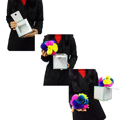 Fantasy Box by JL Magic - Trick - Got Magic?