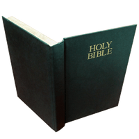 Flaming Book (bible) - Got Magic?