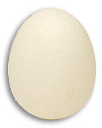 Foam Egg ( 1 egg is 1 unit) Goshman - Got Magic?