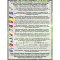 100th Monkey Multi-Language(2 DVD Set with Gimmicks) by Chris Philpott - Trick