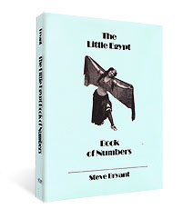 Little Egypt Book of Numbers by Steve Bryant - Book - Got Magic?
