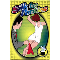 Silk to Panties by Vincenzo Di Fatta - Trick - Got Magic?