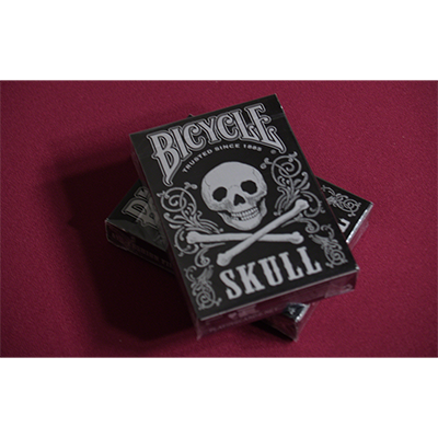 Bicycle Skull Metallic (Silver) USPCC by Gambler's Warehouse - Got Magic?