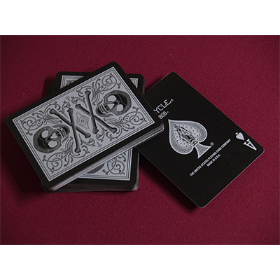 Bicycle Skull Metallic (Silver) USPCC by Gambler's Warehouse - Got Magic?