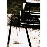 Springboard by Michael Murray -  Book - Got Magic?