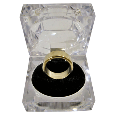 Wizard PK Ring Original (FLAT, GOLD, 16mm) by World Magic Shop - Trick - Got Magic?