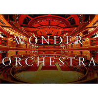 Wonder Orchestra (Violin / Loud) by King of Magic - Trick - Got Magic?